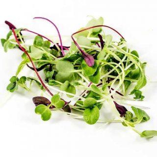 product-سبزی میکروگرین بسته 60 گرم