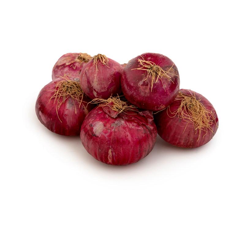 slider-image