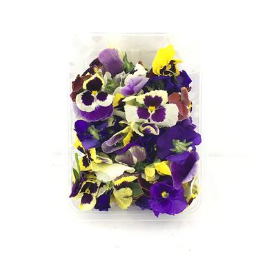 product-گل خوراکی بسته 100 گرم
