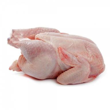 product-مرغ کامل 1 عدد وزن 1.7 الی 2 کیلوگرم