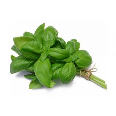 product-ریحان تازه دستچین 1 کیلوگرم