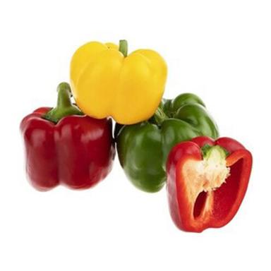 product-فلفل دلمه رنگی عمده 1 کیلوگرم