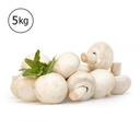 slider-image