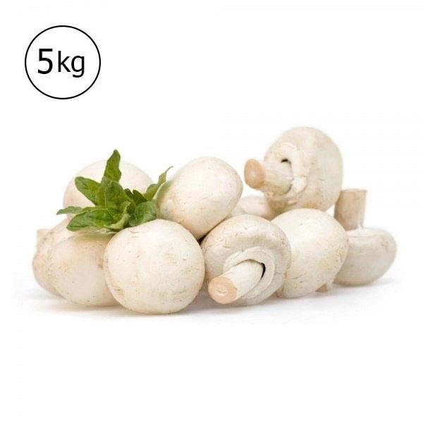 slider-image