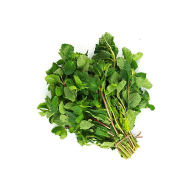 product-نعنا موهیتو تازه بسته 250 گرم